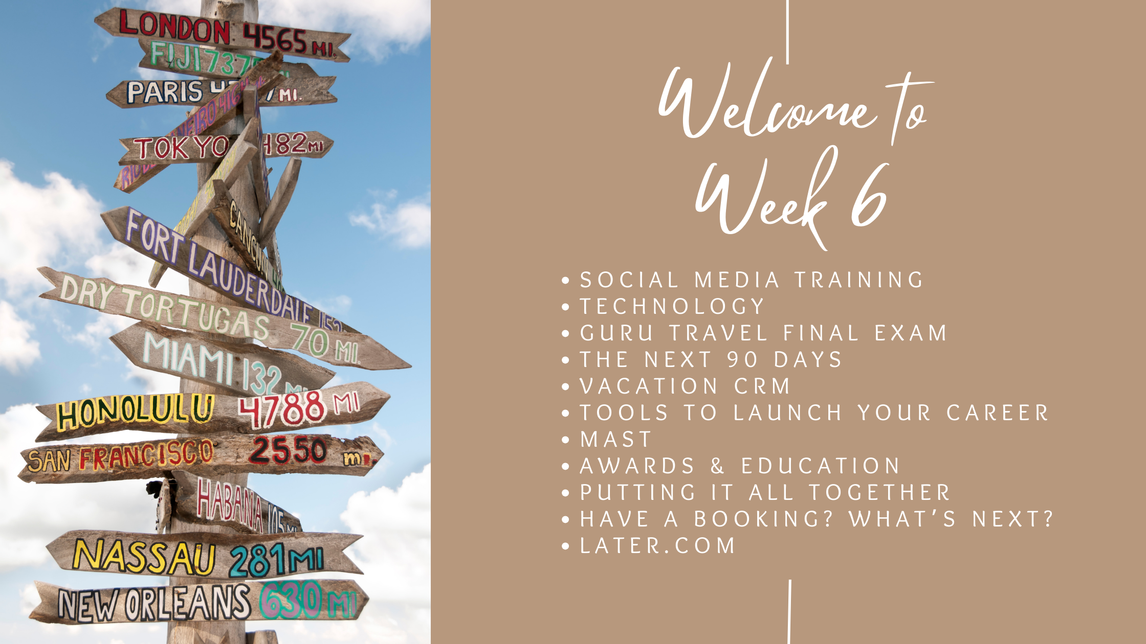 Week 6: Culminating Your Training Journey and Preparing for Success